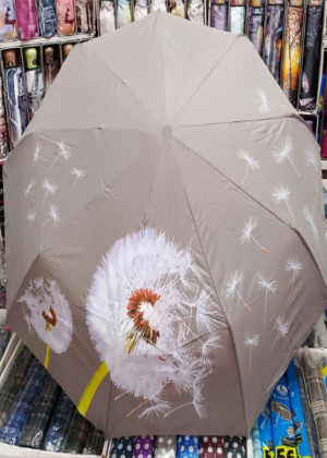 Зонт 2109079