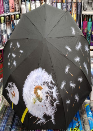 Зонт 2109080