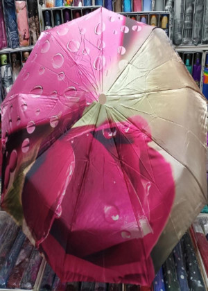 Зонт 2109084