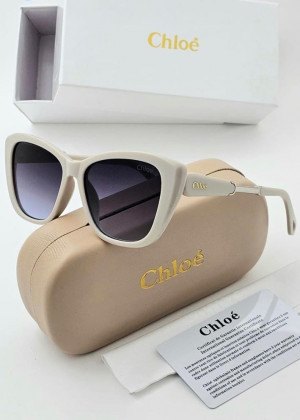 Набор солнцезащитные очки, коробка, чехол + салфетки 2128071