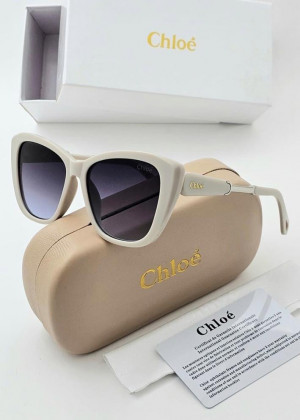 Набор солнцезащитные очки, коробка, чехол + салфетки 2130513